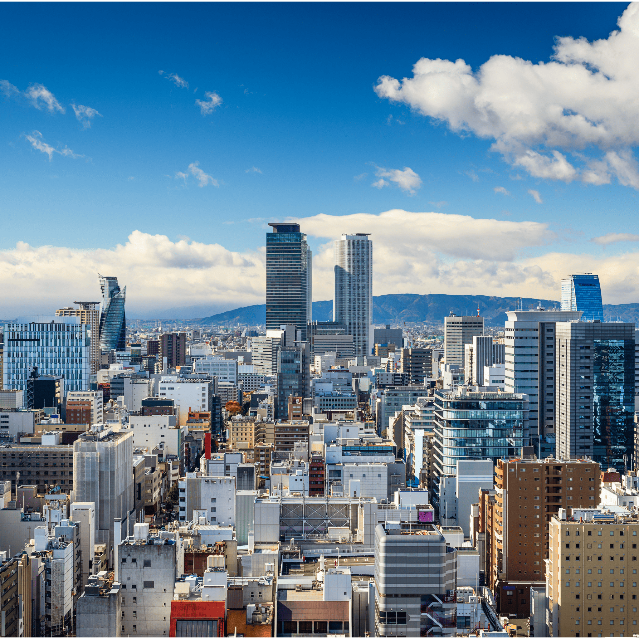 「非変性II型コラーゲン」って何?軟骨サポートの注目成分を解説!