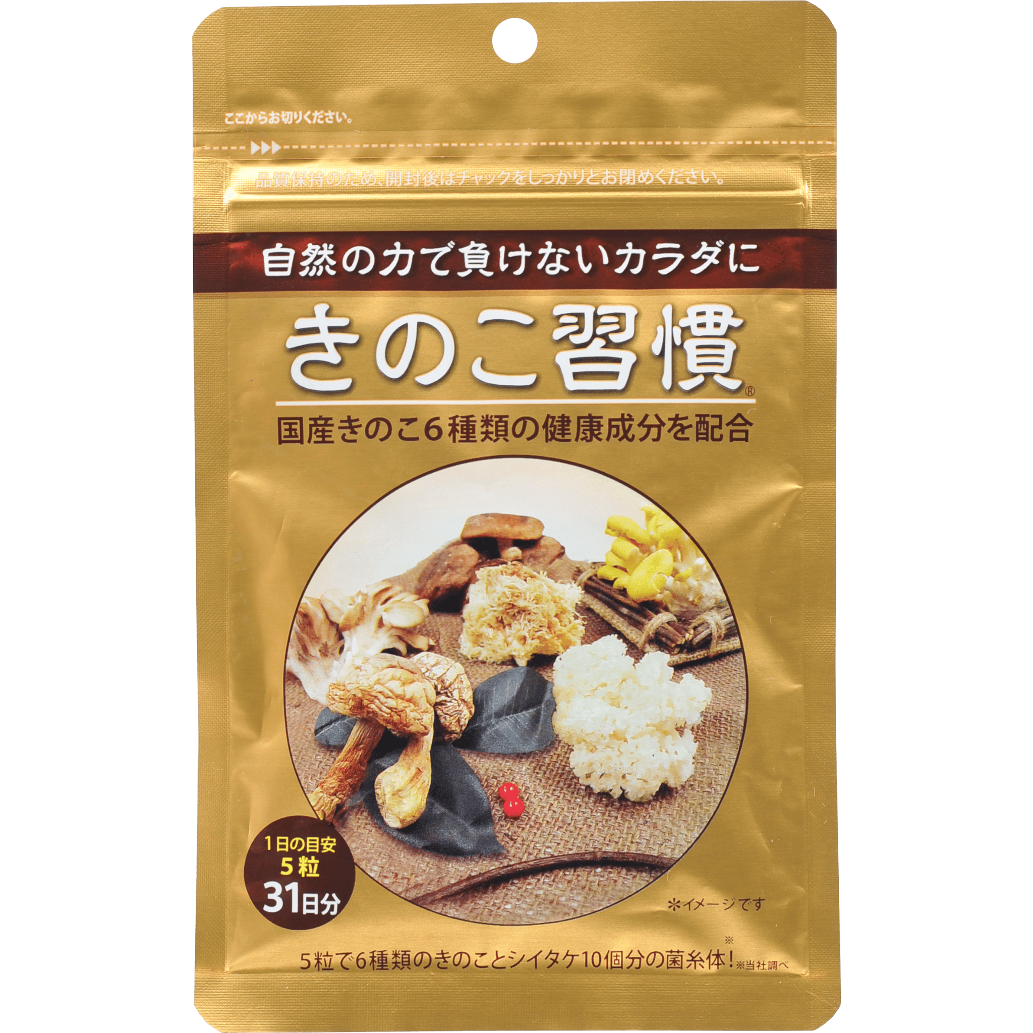 KEFIRきのこ習慣